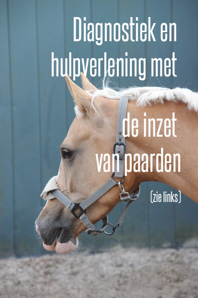 Diagnostiek en hulp met inzet van paarden